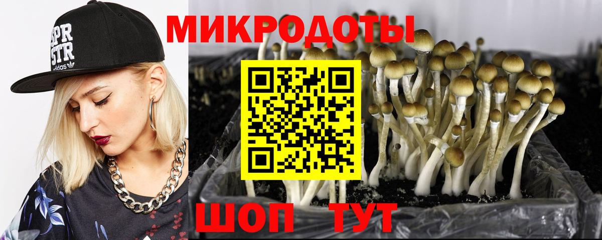 Галлюциногенные грибы мухоморы  Вход с VPN  Южно-Сахалинск 