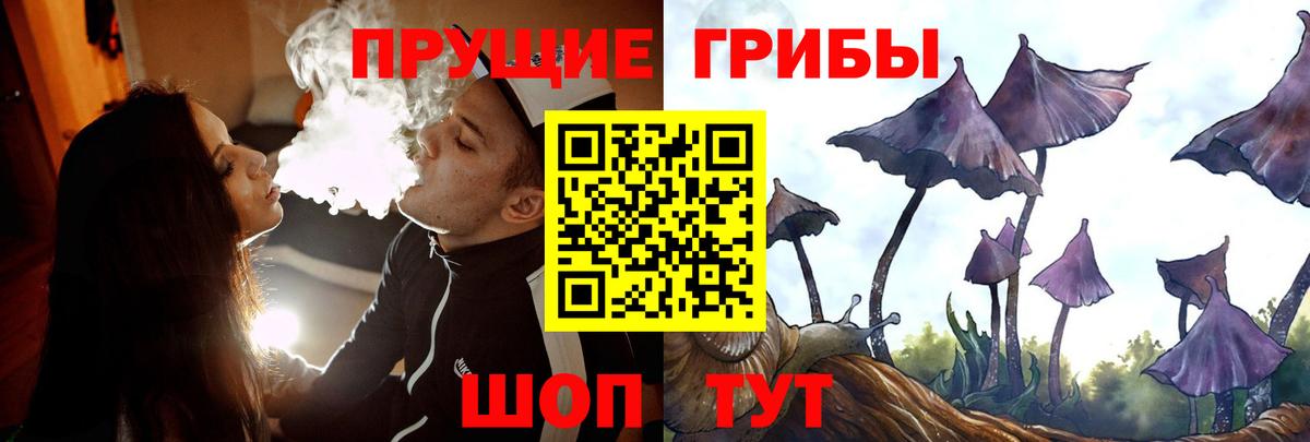 Псилоцибиновые грибы Cubensis Южно-Сахалинск